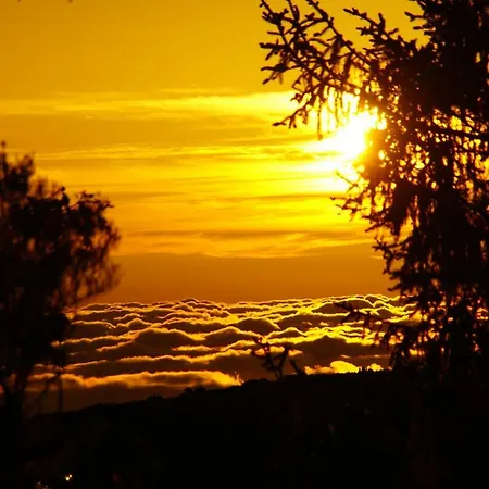 Ribeira Center Daire Funchal