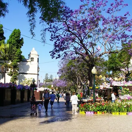 Ribeira Center Daire Funchal