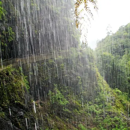 Ribeira Center * Funchal