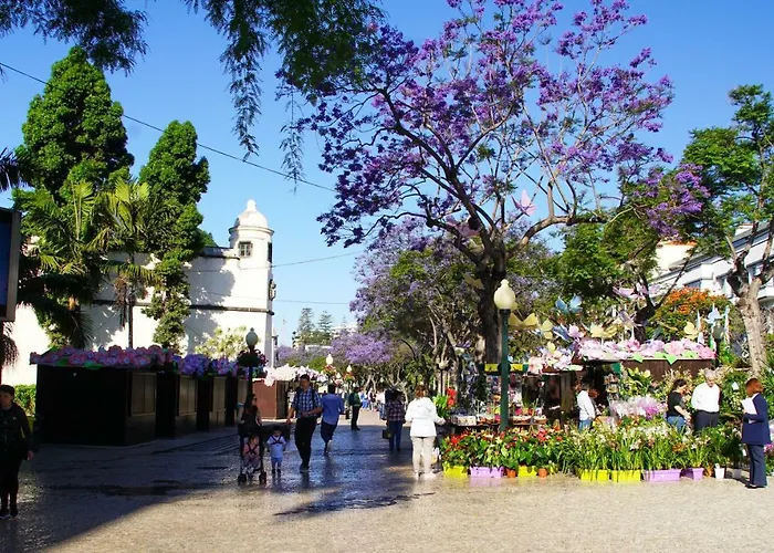 Ribeira Center شقة فونشال