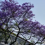 Ribeira Center