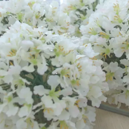 Apartment Ribeira Center Funchal (Madeira)