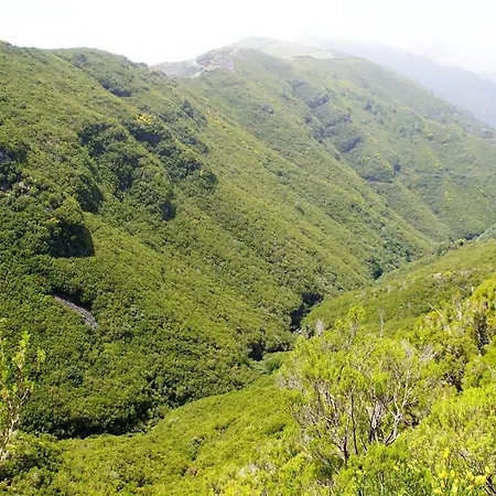 Apartment Ribeira Center *